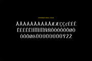Chinchilla Vintage Serif Font, a Serif Font by UICreative (Thumbnail 8 of 12)