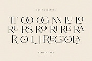 Regiola Font Duo, a Serif Font by Lucky Type (Thumbnail 14 of 14)
