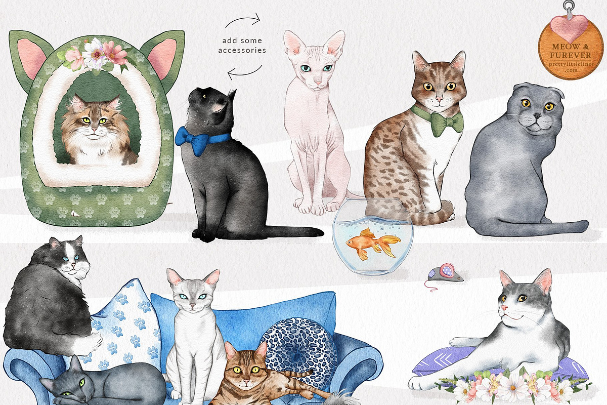 Pet Illustrations Patterns & Borders, a Graphic by Pretty Little Lines (Photo 15 of 29)