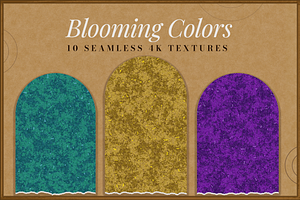 Echoes of Color: Blooming Colors