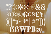 MTC Granfise - A Unique Serif, a Serif Font by Martype (Thumbnail 2 of 12)