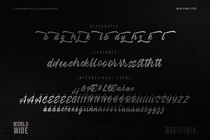 Gonzalles Brush Business Font