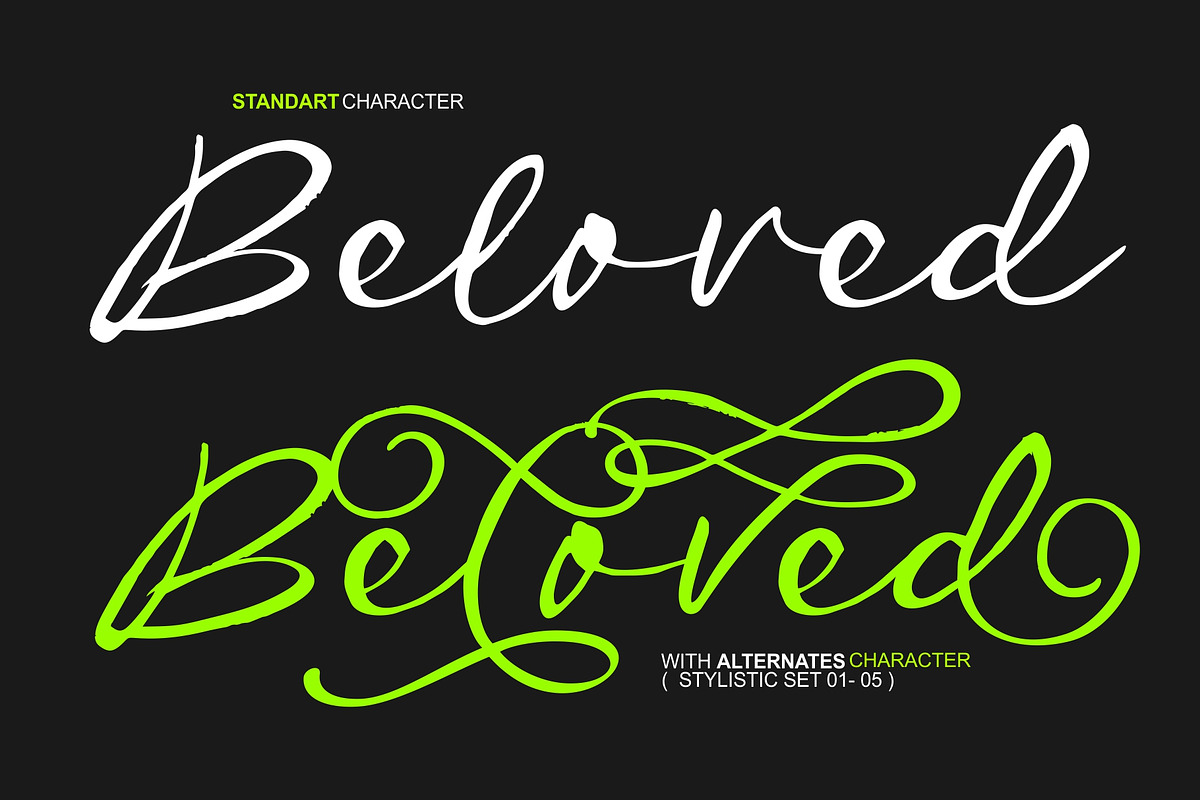 Autentic Brush, a Script Font by HRDR (Photo 12 of 15)
