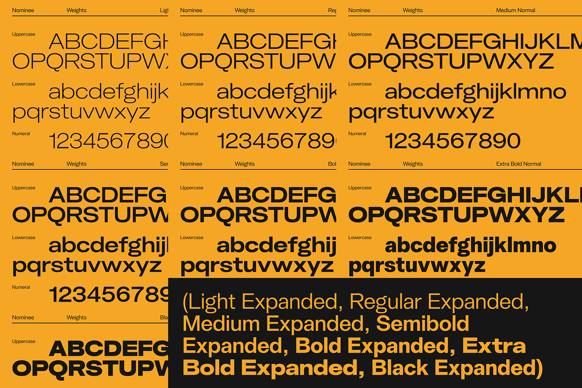 Uncmmn Nominee Sans Serif 21 Style, a Font by Kotivoro (Photo 19 of 30)