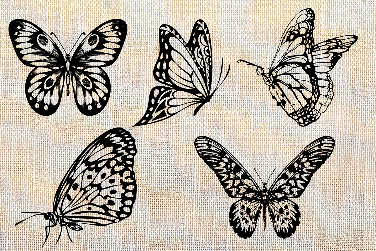 BUNDLE WILD ANIMALS VECTOR, an Animal Illustration by AnastasiyaOleynik (Photo 12 of 20)
