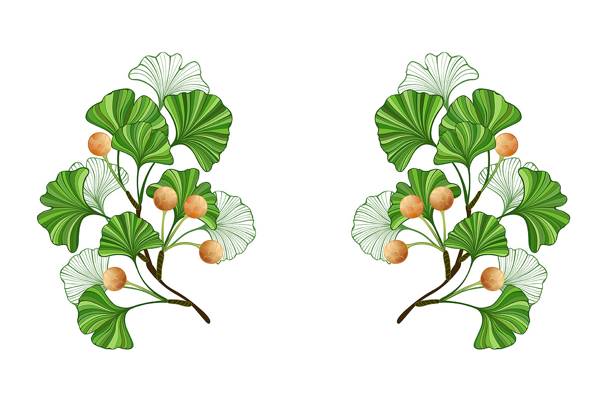 Frame of green ginkgo biloba branche, a Decorative Illustration by blackmoon9 (Photo 1 of 3)