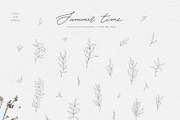 Summer botanical line art, a Decorative Illustration by Summer Nightingale Art (Thumbnail 6 of 12)