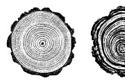 Woodlog Vector Template [ii], a Background Graphic by 103cia (Thumbnail 3 of 3)