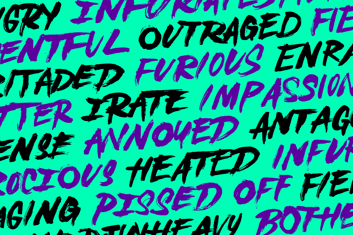 Angry Brush Font, a Handwritten Font by Emily Joy Rich