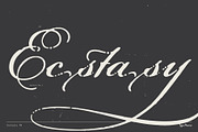 Fantasia TM – Dreamy Script, a Font by Type Mania (Thumbnail 7 of 12)