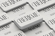 Aroney Family | 5 Style Fonts, a Serif Font by IM Studio (Thumbnail 7 of 12)