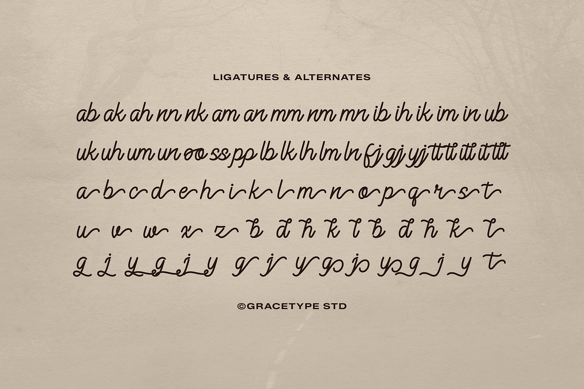 Alontima | Monoline Script, a Script Font by gracetype_studio (Photo 12 of 12)