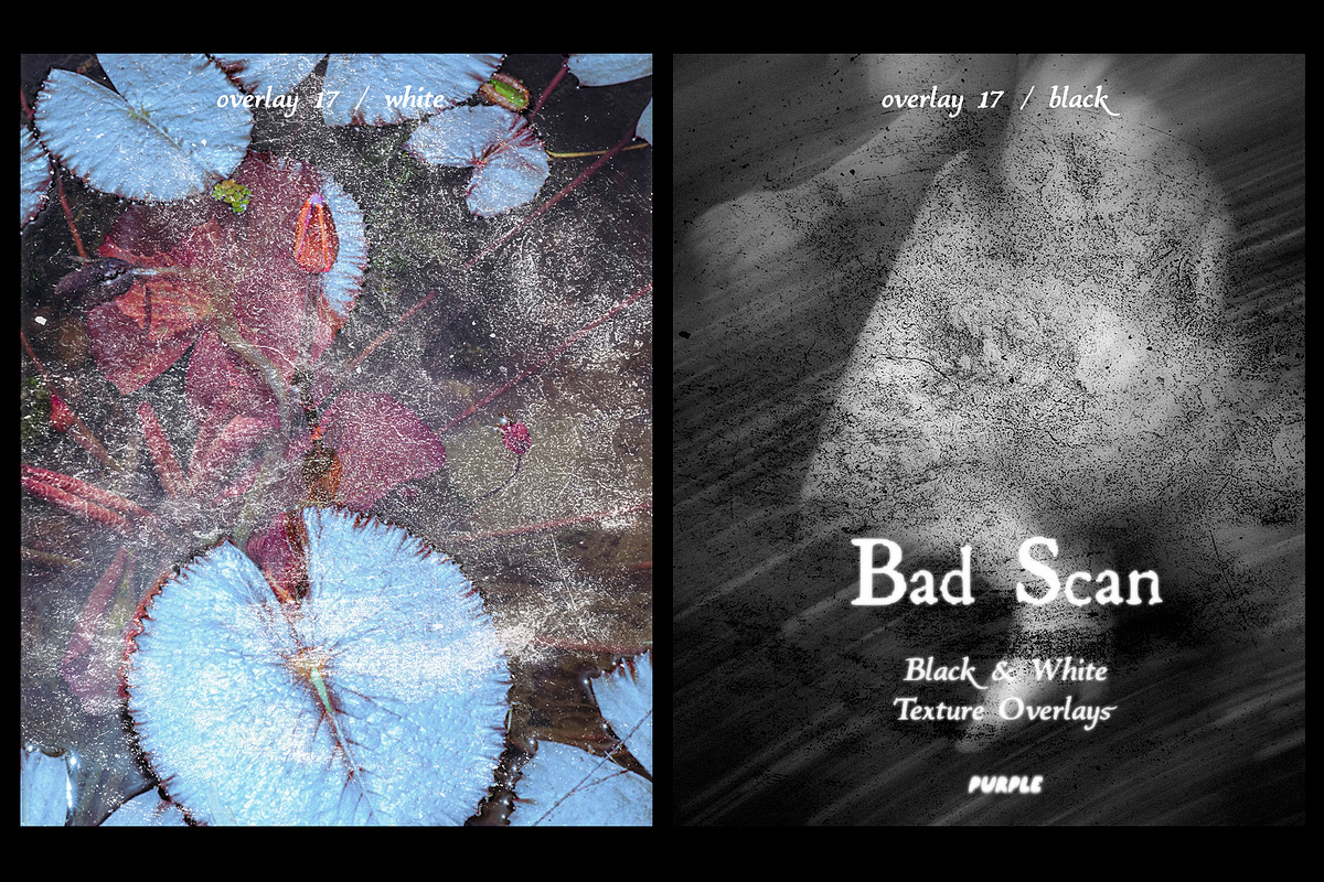 Bad Scan: Black & White Overlays, a Texture Graphic by Purple (Photo 18 of 21)