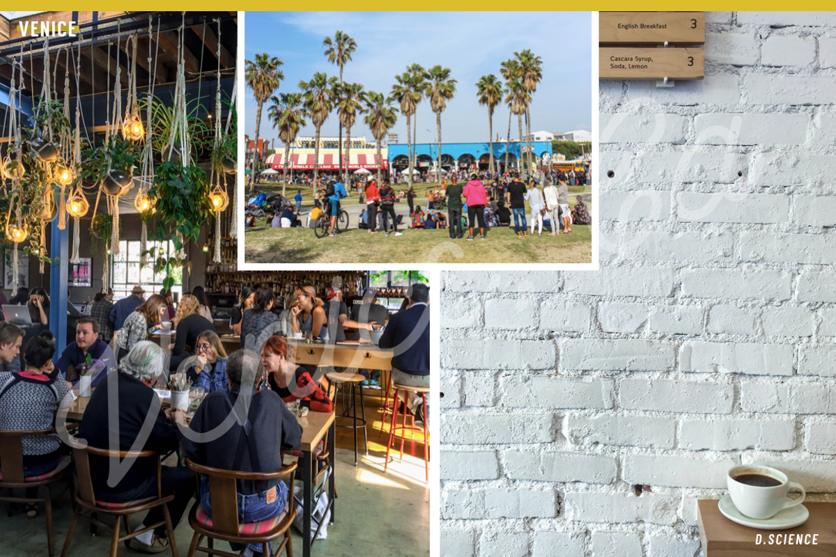 94% Off Venice Summer Photo Bundle, a Business Photo by Template Monkey @dscience (Photo 17 of 18)
