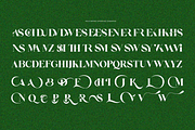 Palm Vintage, a Serif Font by zaaintype (Thumbnail 9 of 11)