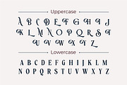Roystorie Display, a Serif Font by Typia Nesia (Thumbnail 10 of 11)