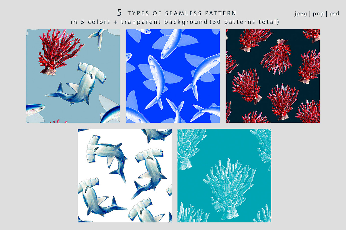 Ocean set, a Pattern Graphic by ⚞ Kind Illustration ⚟ (Photo 2 of 16)