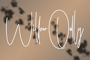 Ameriondela Luxury Classy Font, a Script Font by Maulana Creative (Thumbnail 7 of 11)
