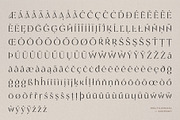Regalic | Font Family, a Sans Serif Font by Digitype Studio (Thumbnail 14 of 14)