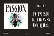 Levine, a Serif Font by Eotype Studio (Thumbnail 9 of 10)