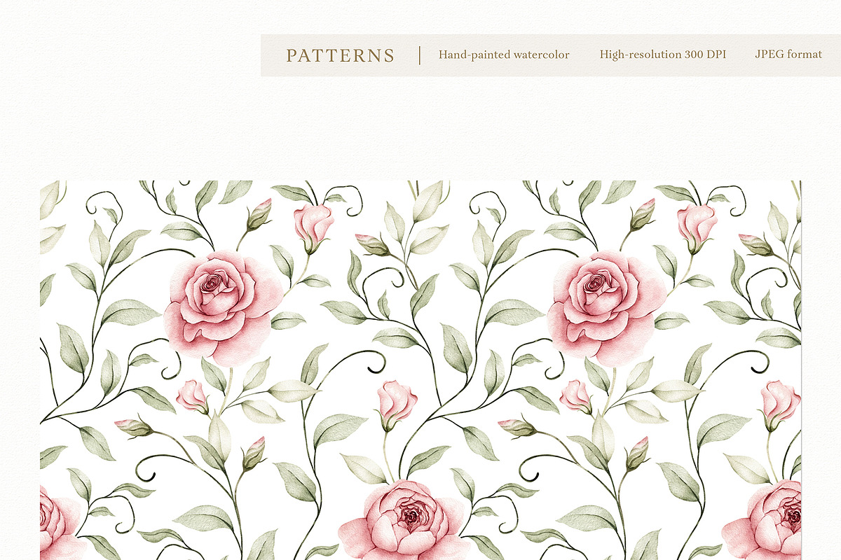 Watercolor Blush Roses Floral Set, a Decorative Illustration by Carol Lozove (Photo 27 of 50)