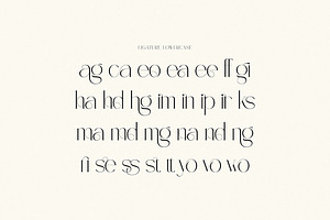 Shaun Gilchrist Luxury Serif