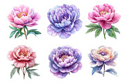 Pink & Purple Peony Flowers Clipart, an Illustration by Dream Creation (Thumbnail 5 of 6)