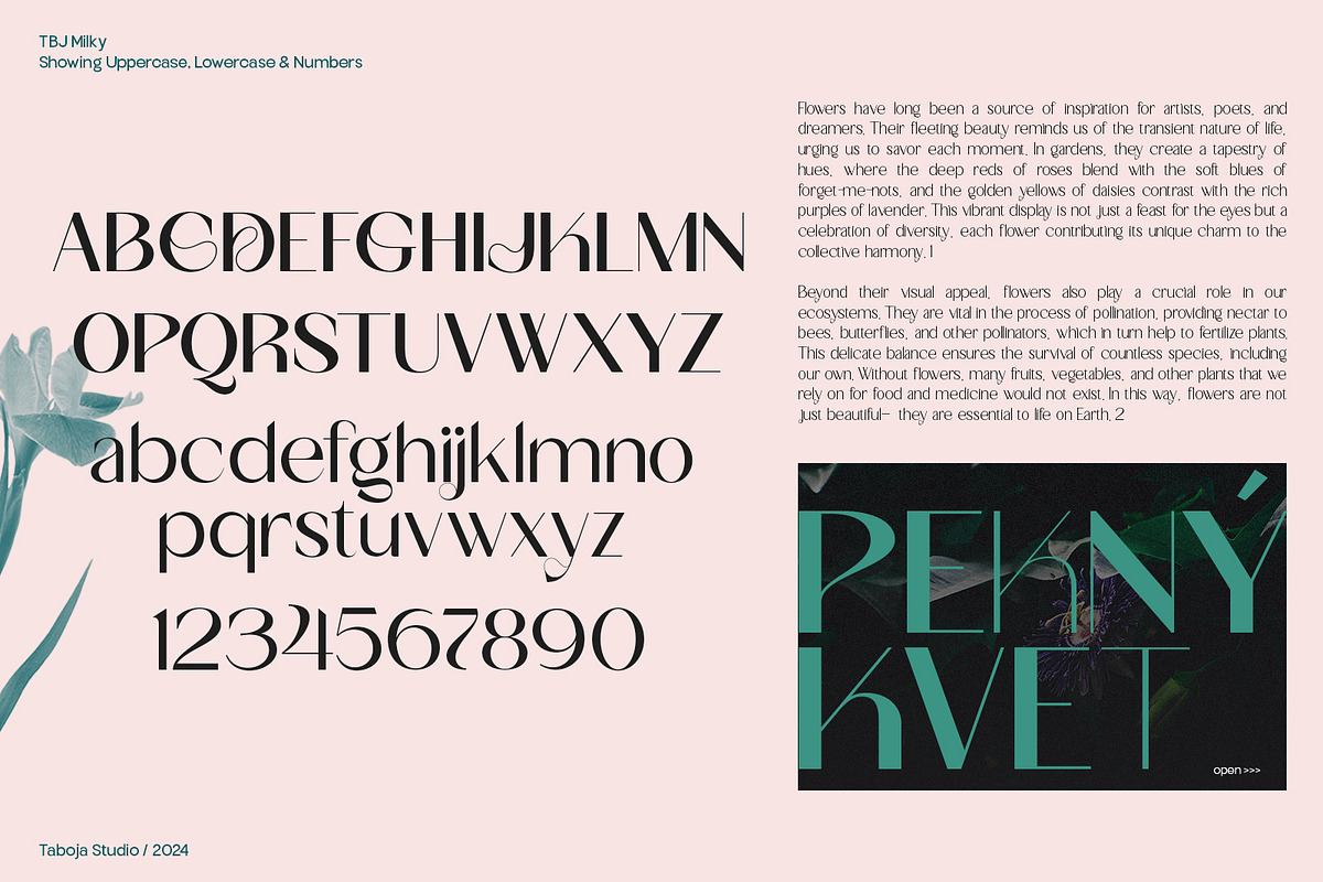 TBJ Milky – 8 Styles Boldly Sans, a Sans Serif Font by Taboja Studio (Photo 14 of 18)