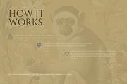 White Lotus wedding templates, a Templates & Theme by Roomoftemplates (Thumbnail 7 of 7)