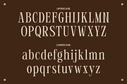GC Polaire - Serif Display Condensed, a Serif Font by Glyphonic (Thumbnail 2 of 16)