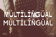 Jalisco & Marlowe Display Font Duo, a Font by CarmineType (Thumbnail 17 of 17)