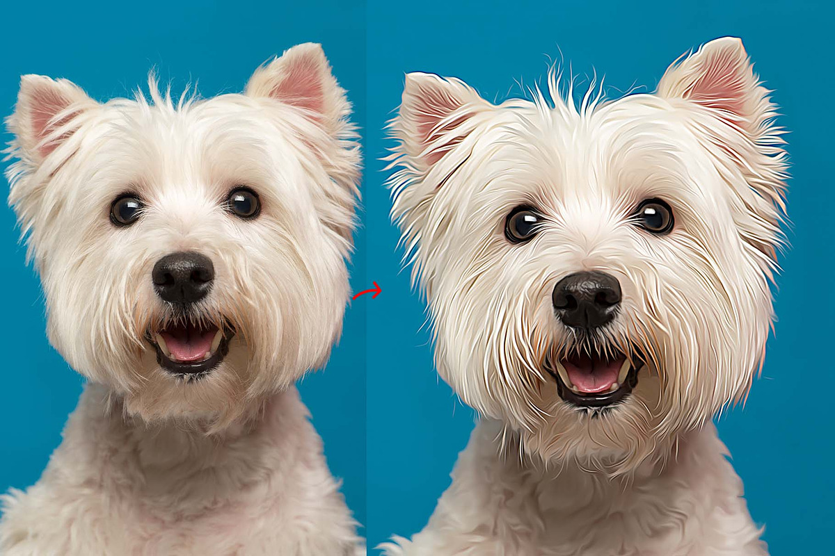 Turn photo into Animal Oil Panting, an Action Add-On by MRI STUDIO (Photo 2 of 9)