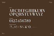 Rudge - Serif Font, a Serif Font by Luna Shop (Thumbnail 2 of 6)