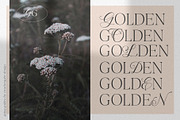 Going Golden Font Family, a Serif Font by Creativeqube Design (Thumbnail 8 of 17)