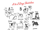 Whimsical Dog Alphabet, an Animal Illustration by Anastasiya Klempach (Thumbnail 3 of 8)