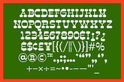 Retro Font Bundle, a Serif Font by The Type Fella (Thumbnail 19 of 25)