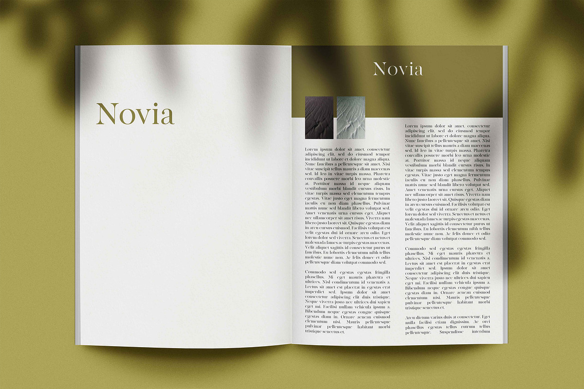 Novia Photo Magazine Mock-Up, a Print Template by Eugene Tantsurin (Photo 13 of 14)