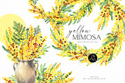Yellow Mimosa Sunshine, an Illustration by Olga Koelsch (Thumbnail 1 of 7)