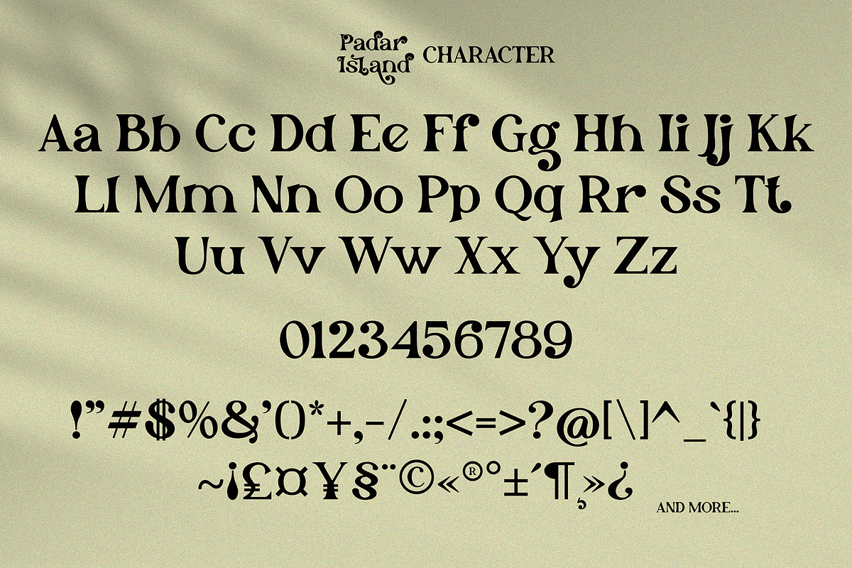 Padar Island - Display Serif Font, a Serif Font by erlosDESIGN (Photo 18 of 19)