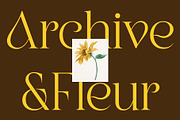 CS Asena – Elegant Serif Font, a Serif Font by Craft Supply Co. (Thumbnail 6 of 8)