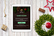 3 Winter Email Templates Pack, an Email Template by Khryna Designs (Thumbnail 3 of 7)
