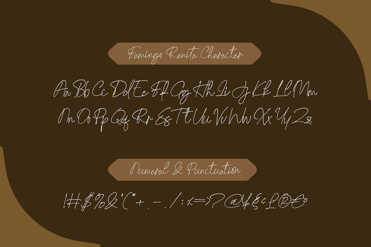 Famingo Ranita - Elegant Script, a Script Font by Lettermine (Photo 6 of 10)