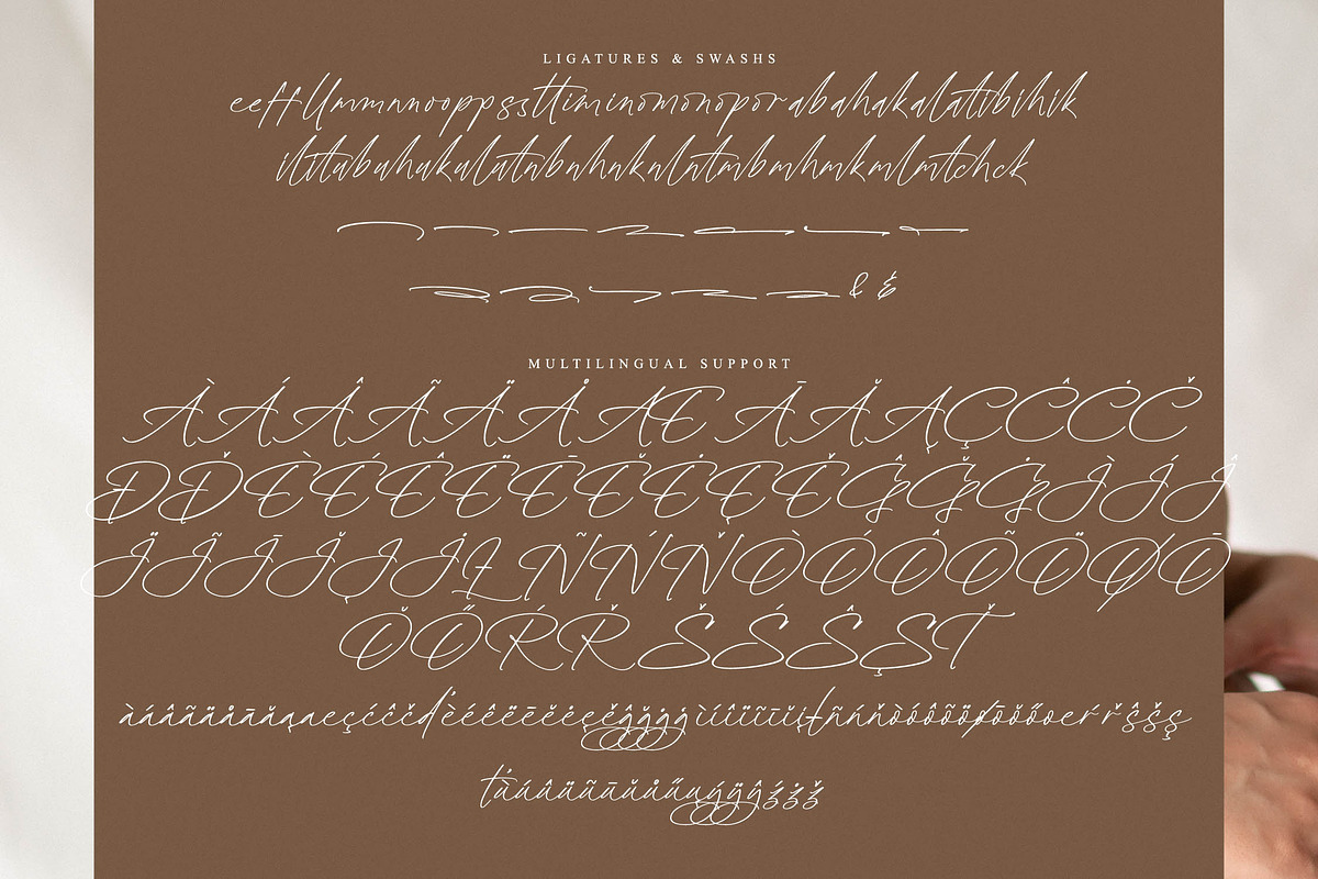 Radiance Berlines, a Script Font by operatype.co (Photo 13 of 15)
