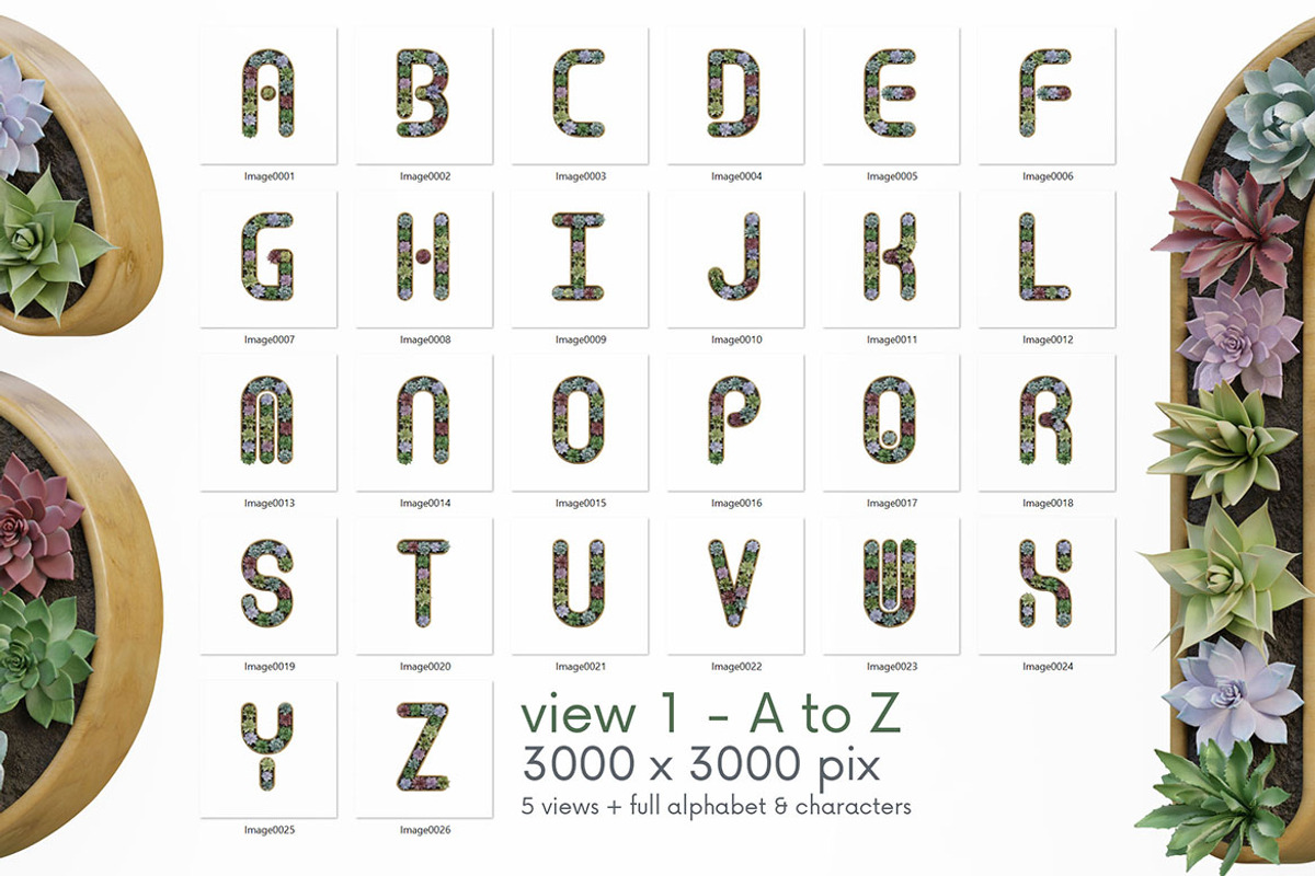 Cactus In Pot - 3D Lettering, an Object Graphic by MIIM