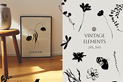 Vintage Ink- Flowers & Backgrounds, a Decorative Illustration by Les Frolova (Thumbnail 9 of 15)