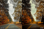 Misty Autumn Forest Presets, a Preset Add-On by AAA Presets (Thumbnail 8 of 13)