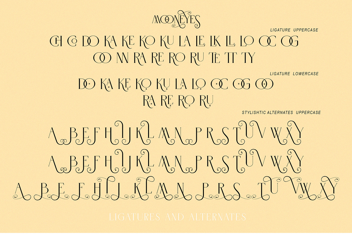 MOONEYES - Modern Serif, a Serif Font by erlosDESIGN (Photo 13 of 15)