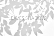 Leaves Shadow on Wall Background., a Background Graphic by kaisorn (Thumbnail 6 of 8)