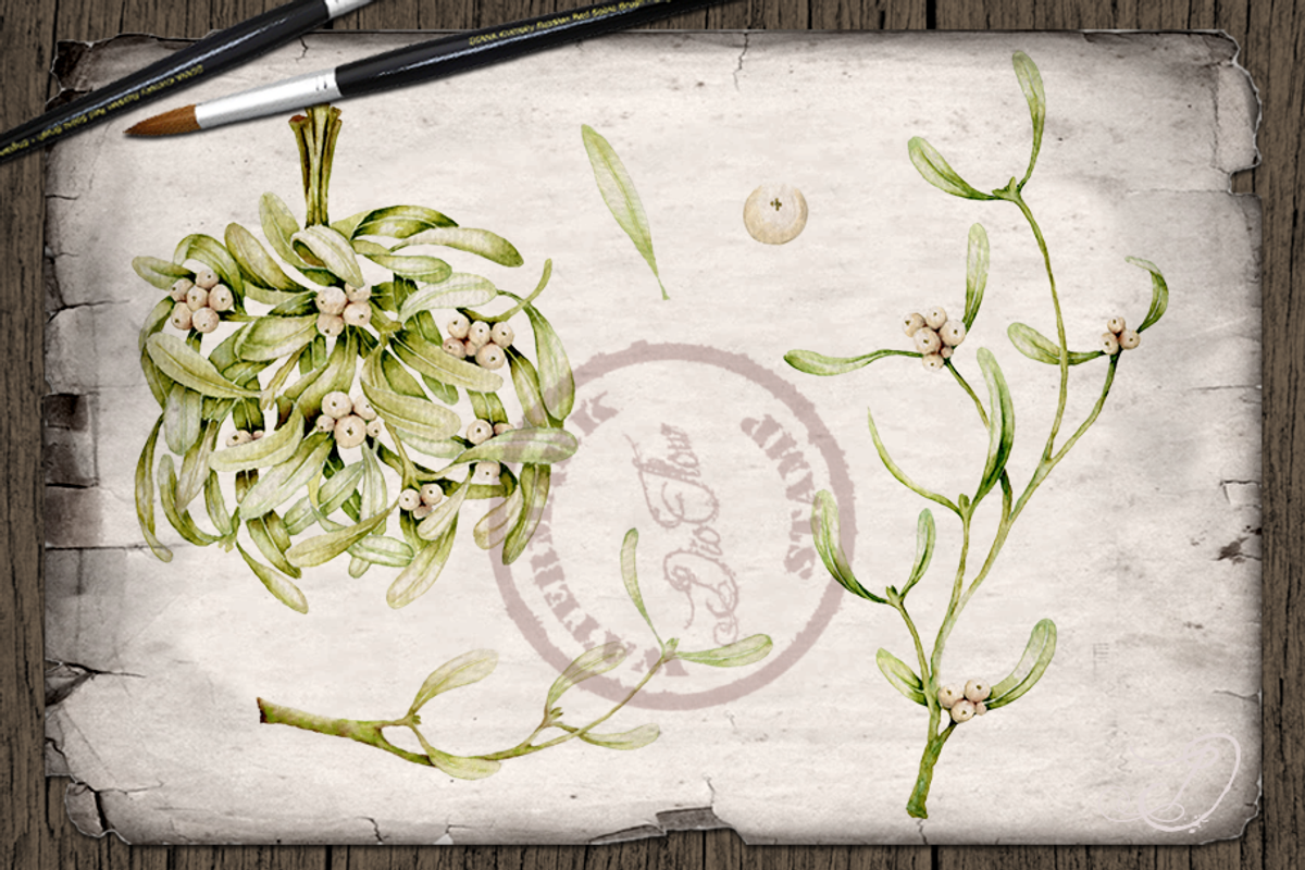 Mistletoe Watercolor Illustration, a Decorative Illustration by DioFlow (Photo 5 of 5)