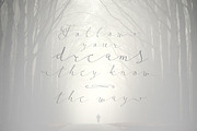 Follow script, a Script Font by Fontop (Thumbnail 2 of 9)